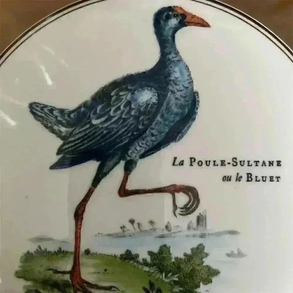 Villeroy & Boch 'La Poule-Sultane' Porcelain Collectible Box Birds Series - Picture 9 of 10